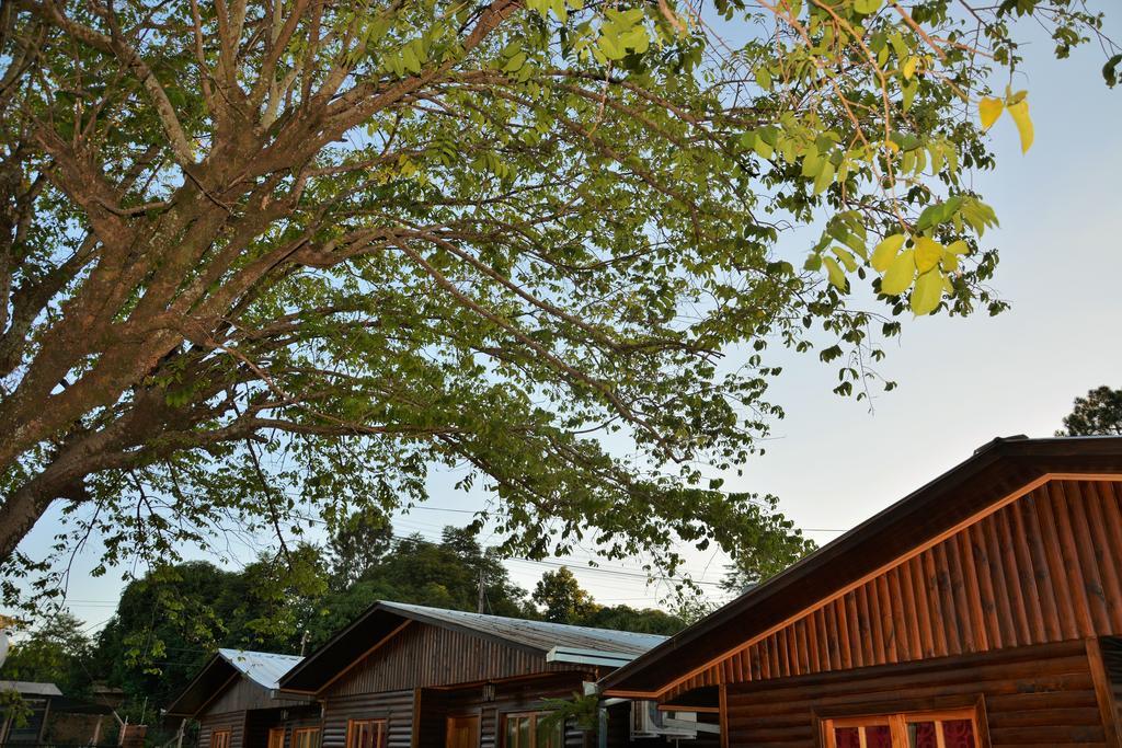 פוארטו איגואסו Casitas Nuova Villa מראה חיצוני תמונה